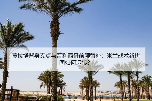 mo-la-ta-bei-shen-zhi-dian-yu-pu-li-xi-qi-qian-yao-ti-bu-mi-lan-zhan-shu-xin-pin-tu-ru-he-yun-zhuan-2-785.jpg