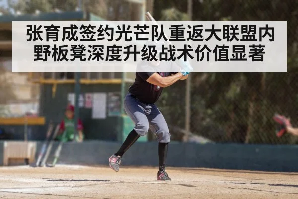 张育成签约光芒队重返大联盟内野板凳深度升级战术价值显著